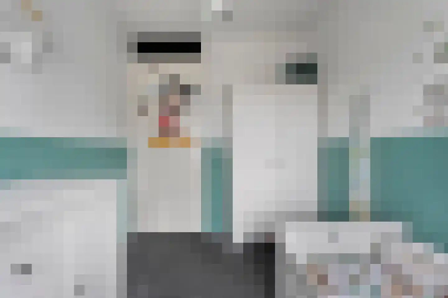 De Ryge 79 Nijeveen thumbnail 20