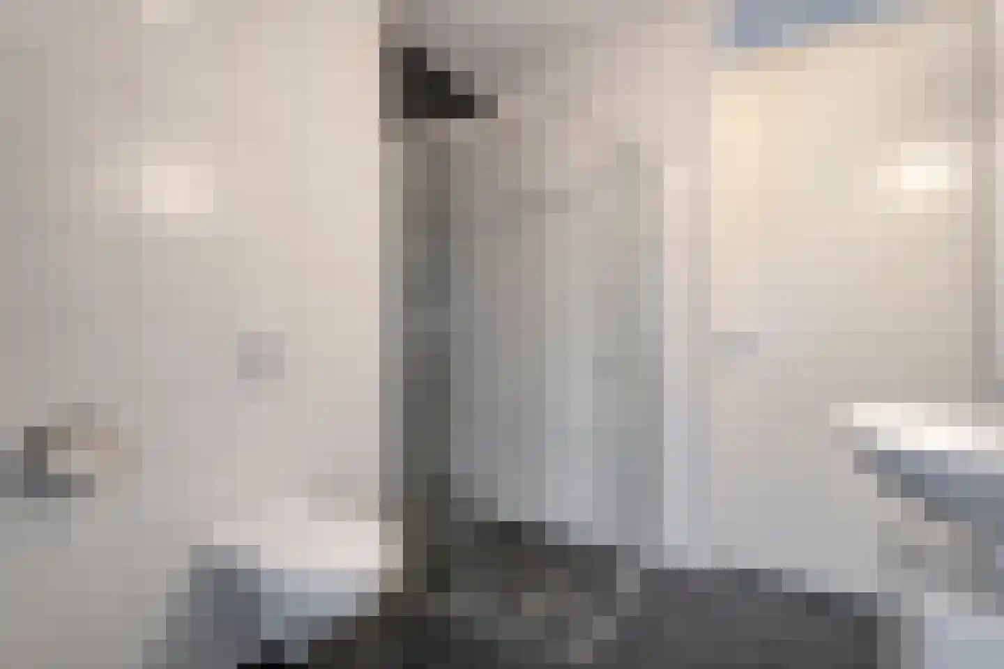 De Ryge 79 Nijeveen thumbnail 24