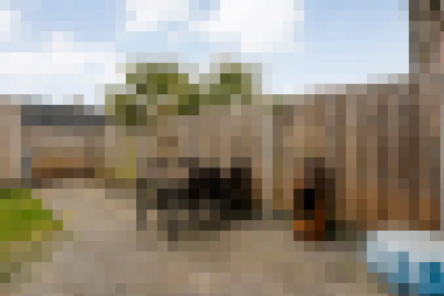 De Ryge 79 Nijeveen thumbnail 29