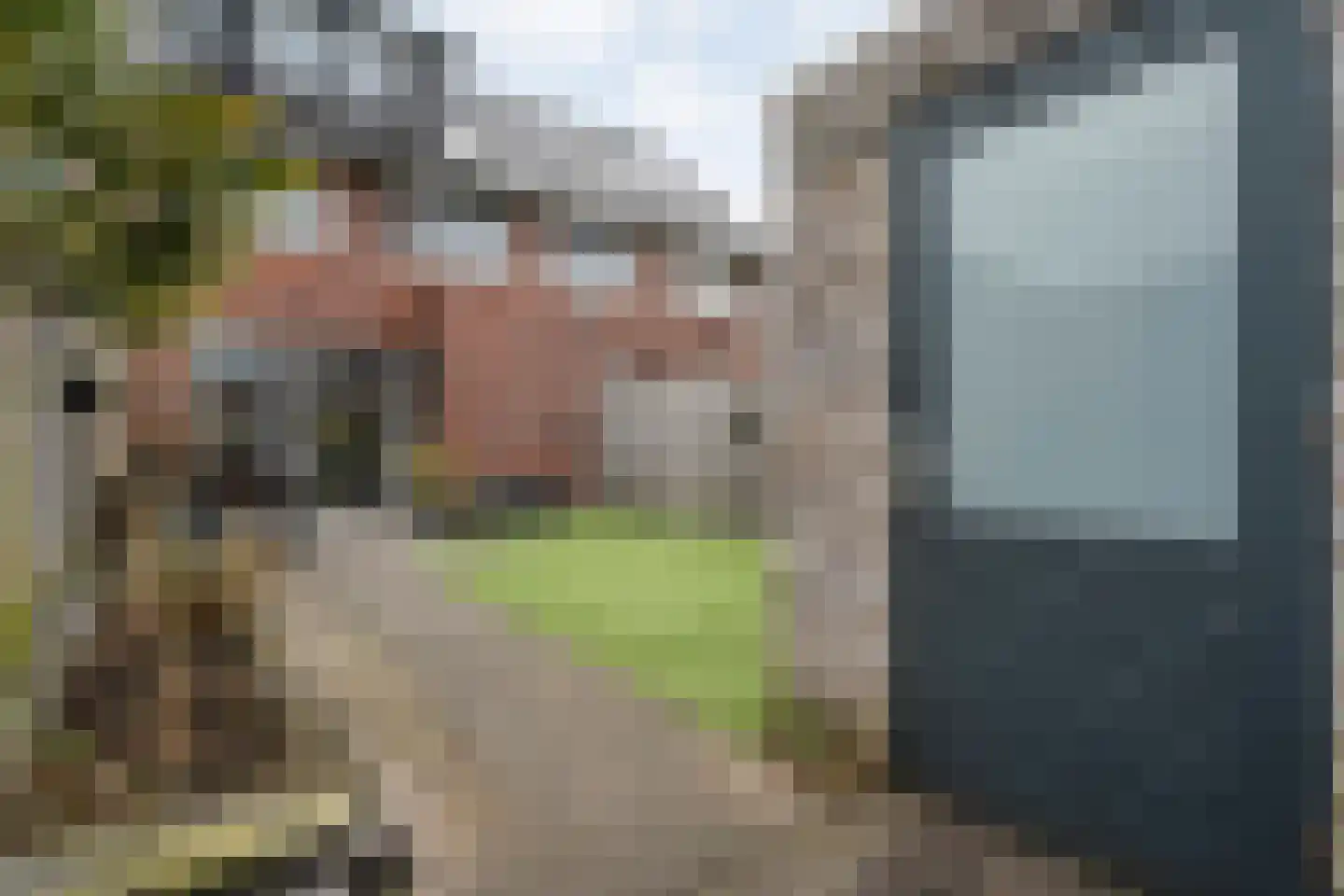 De Ryge 79 Nijeveen thumbnail 32