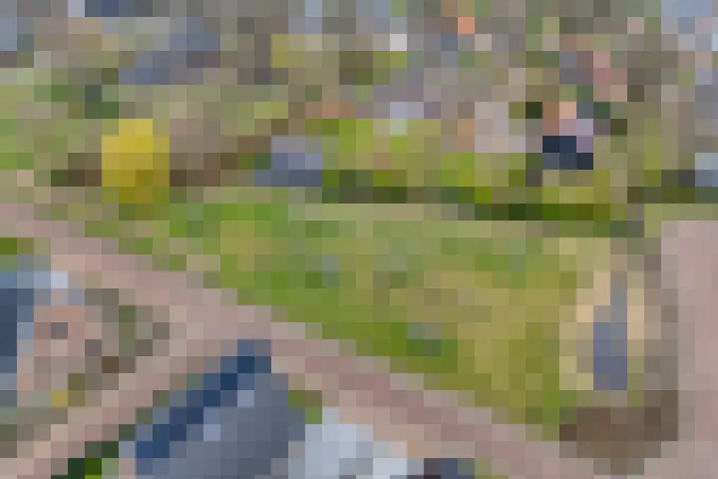 De Ryge 79 Nijeveen thumbnail 38