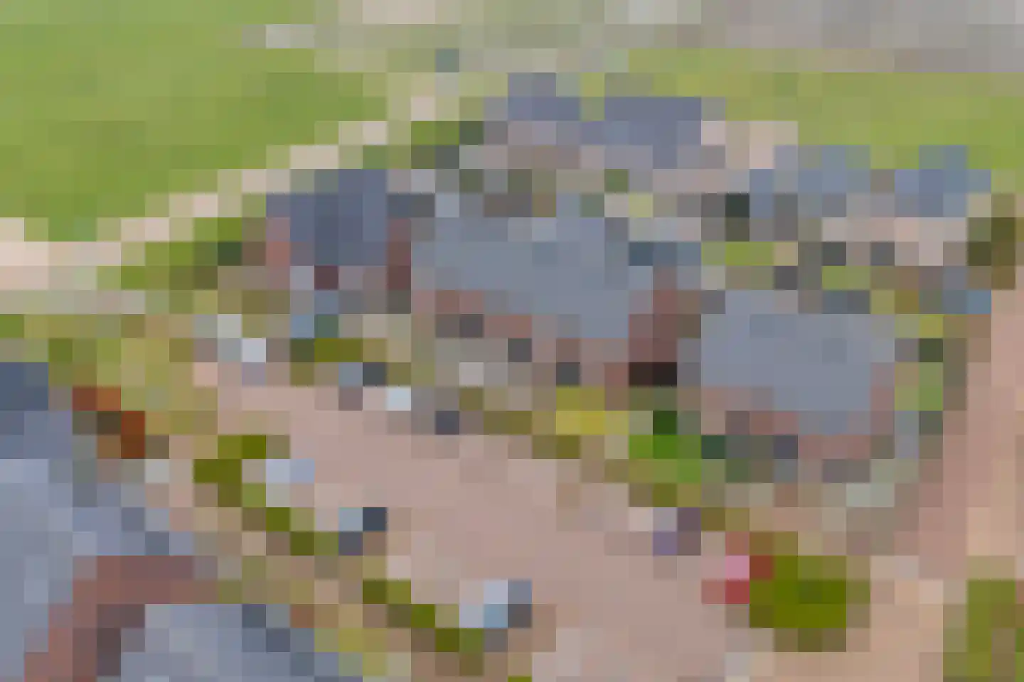 De Ryge 79 Nijeveen thumbnail 39