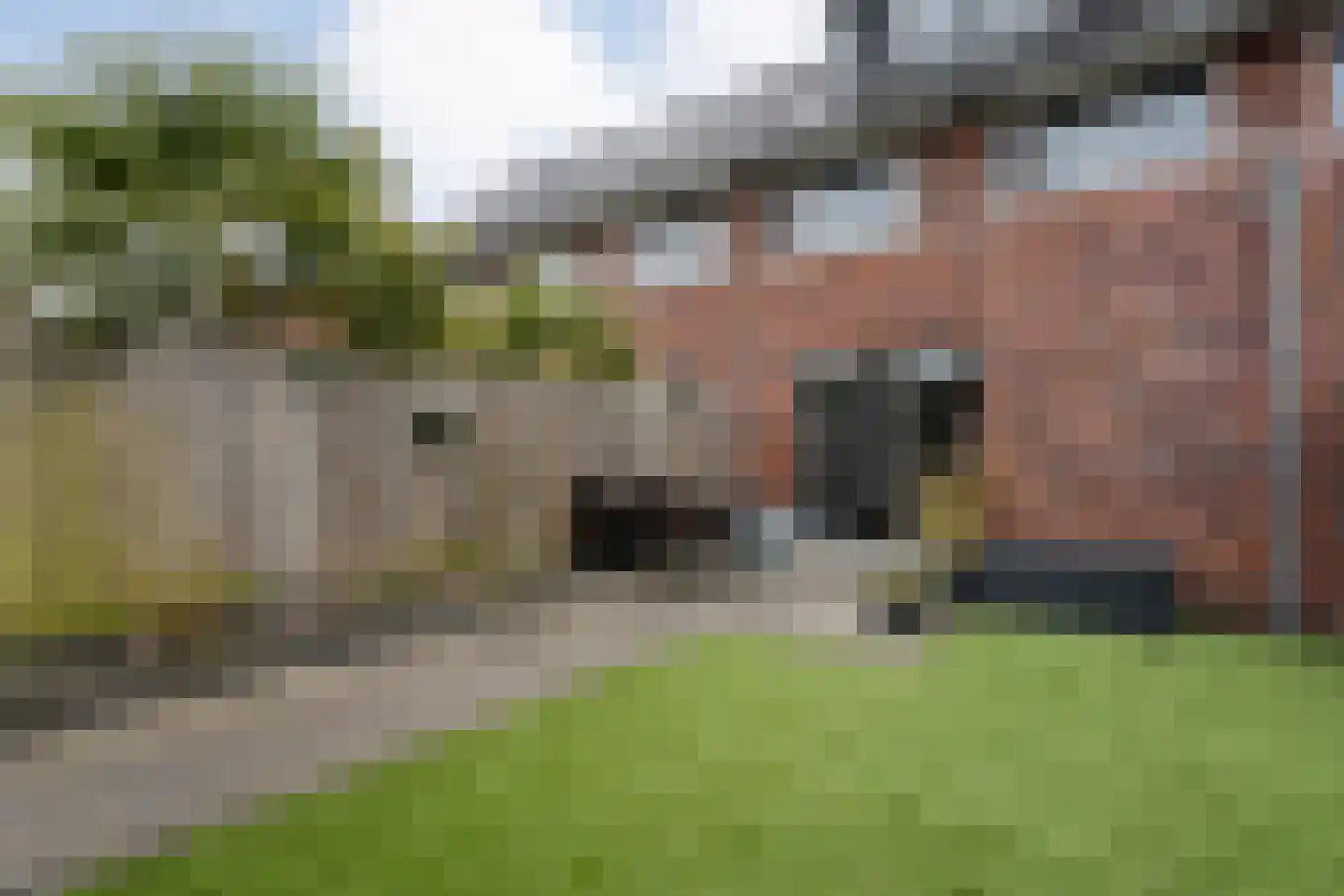 De Ryge 79 Nijeveen thumbnail 4