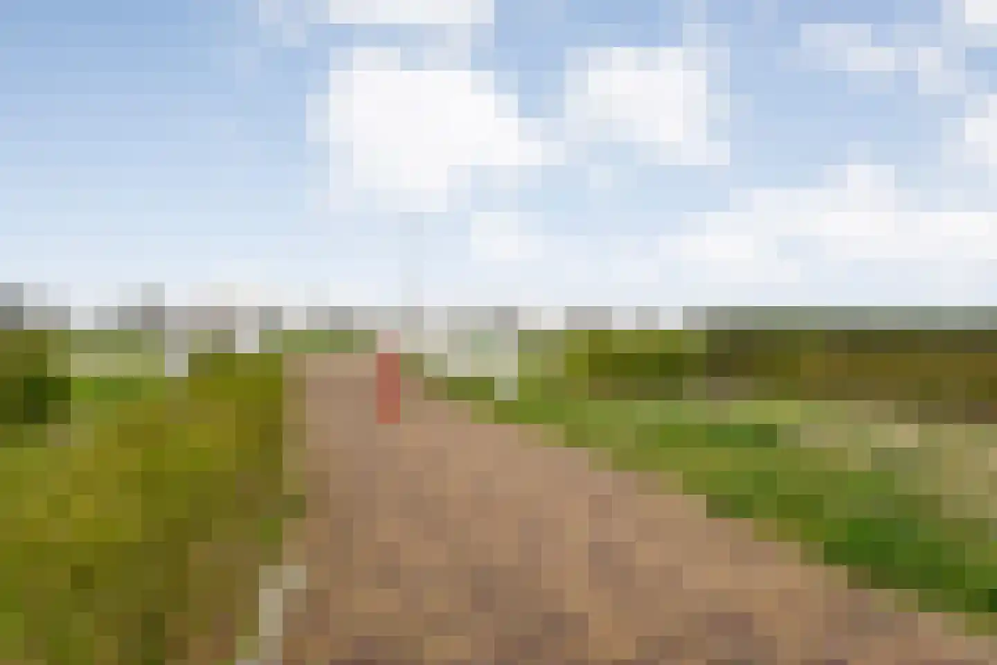 De Ryge 79 Nijeveen thumbnail 44