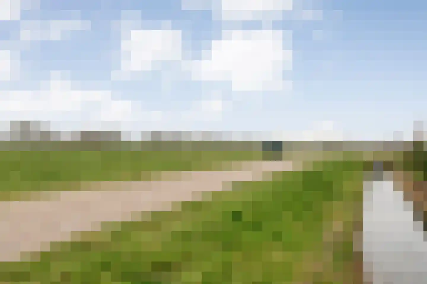 De Ryge 79 Nijeveen thumbnail 45