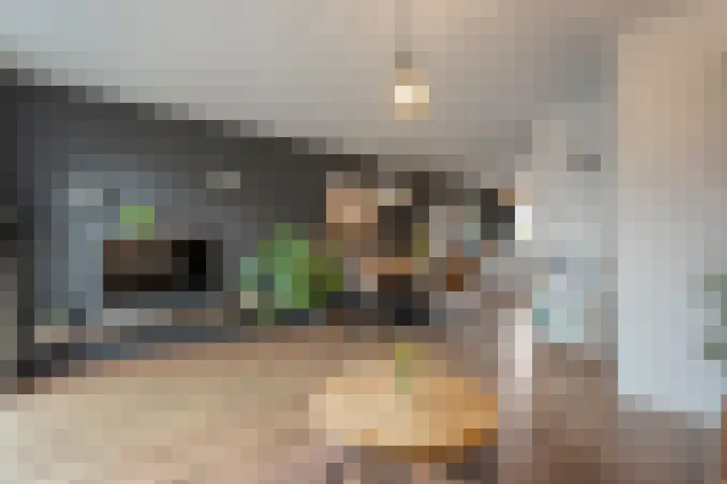 De Ryge 79 Nijeveen thumbnail 7