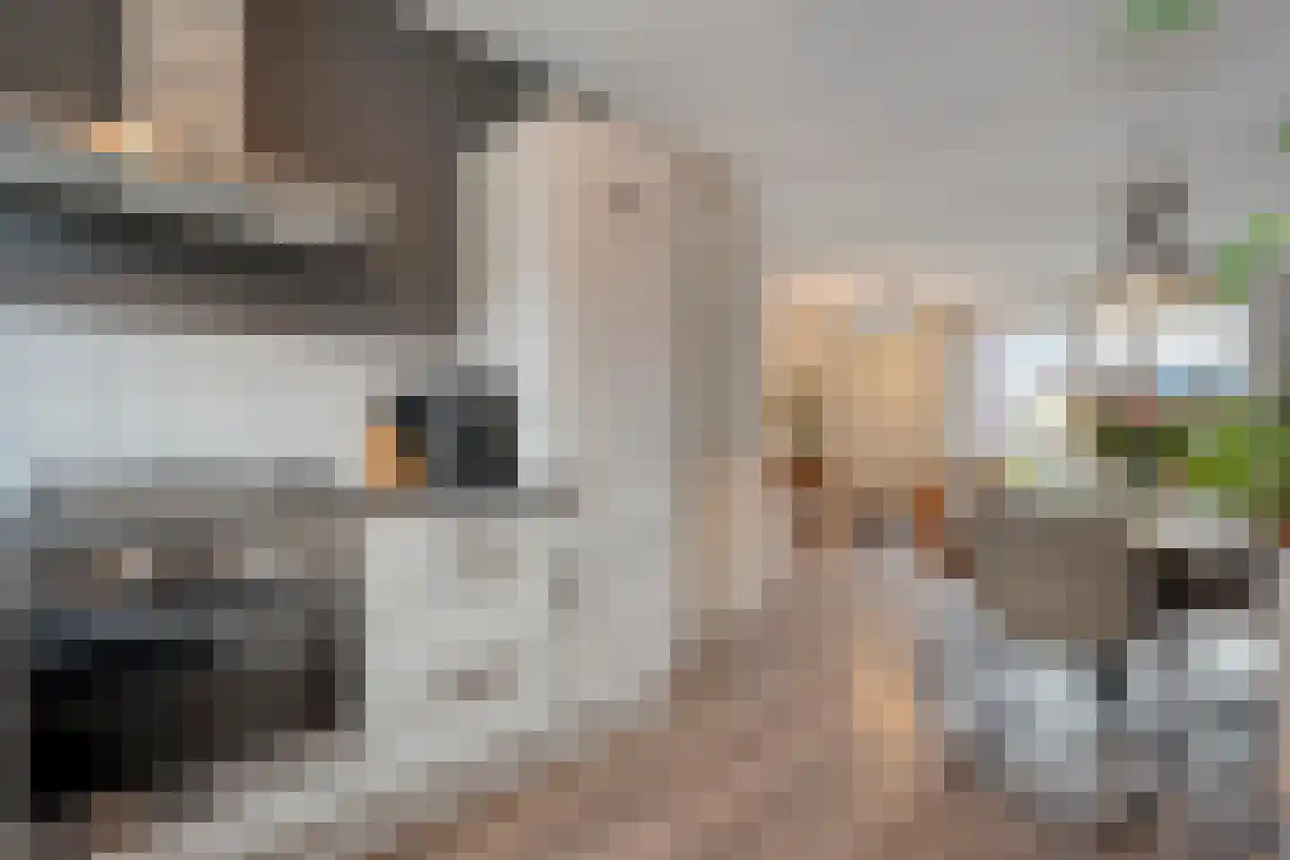 De Ryge 79 Nijeveen thumbnail 9