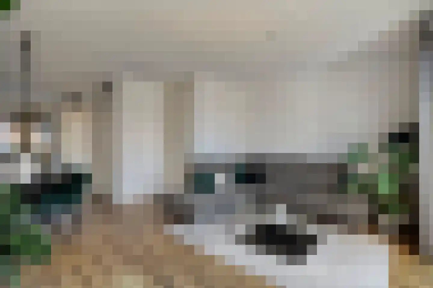 De Ryge 81 Nijeveen thumbnail 11