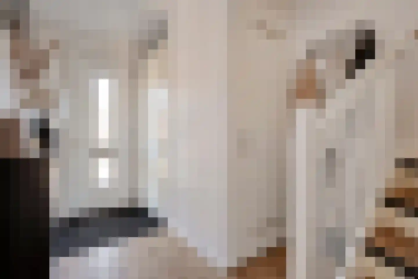 De Ryge 81 Nijeveen thumbnail 13