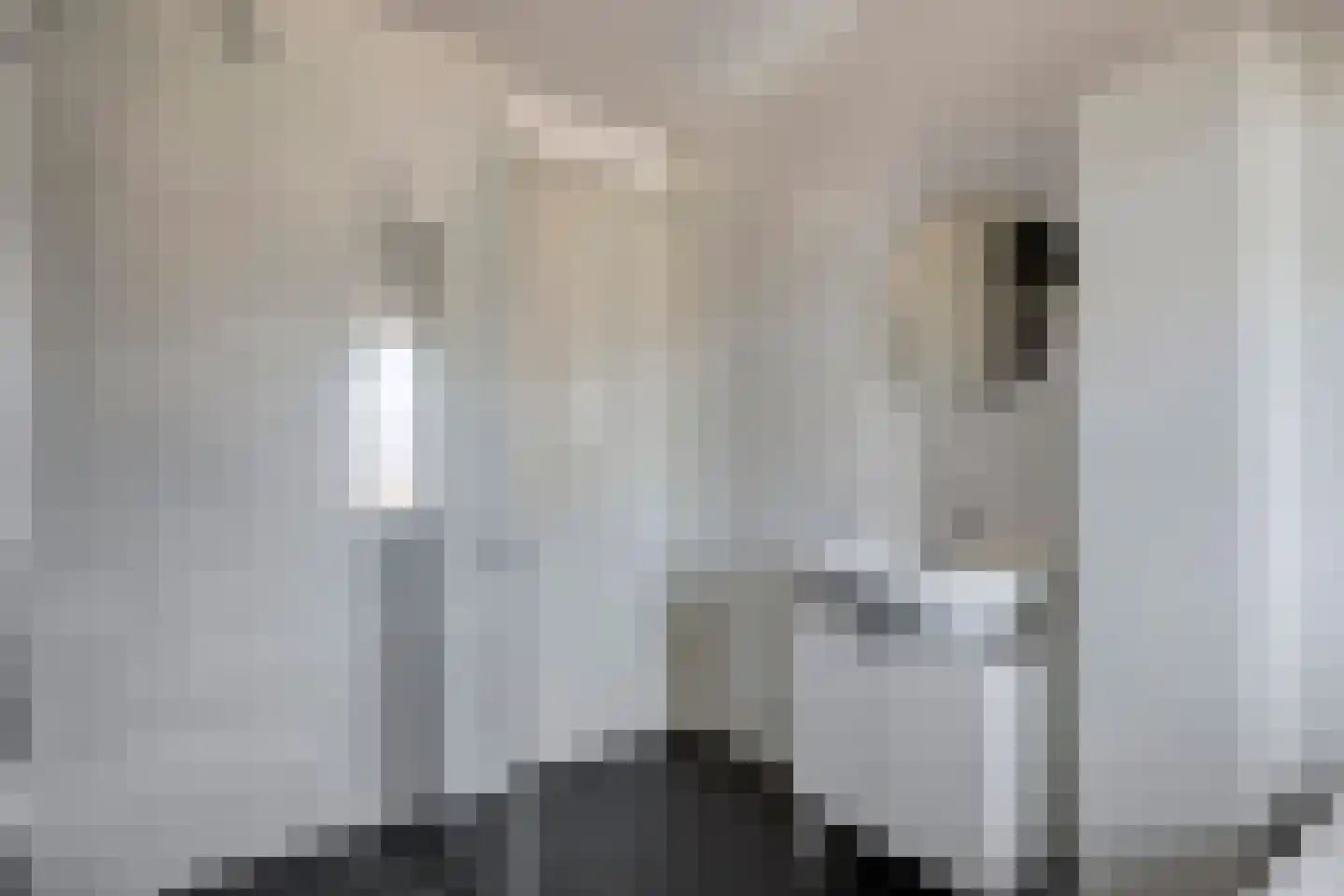 De Ryge 81 Nijeveen thumbnail 19