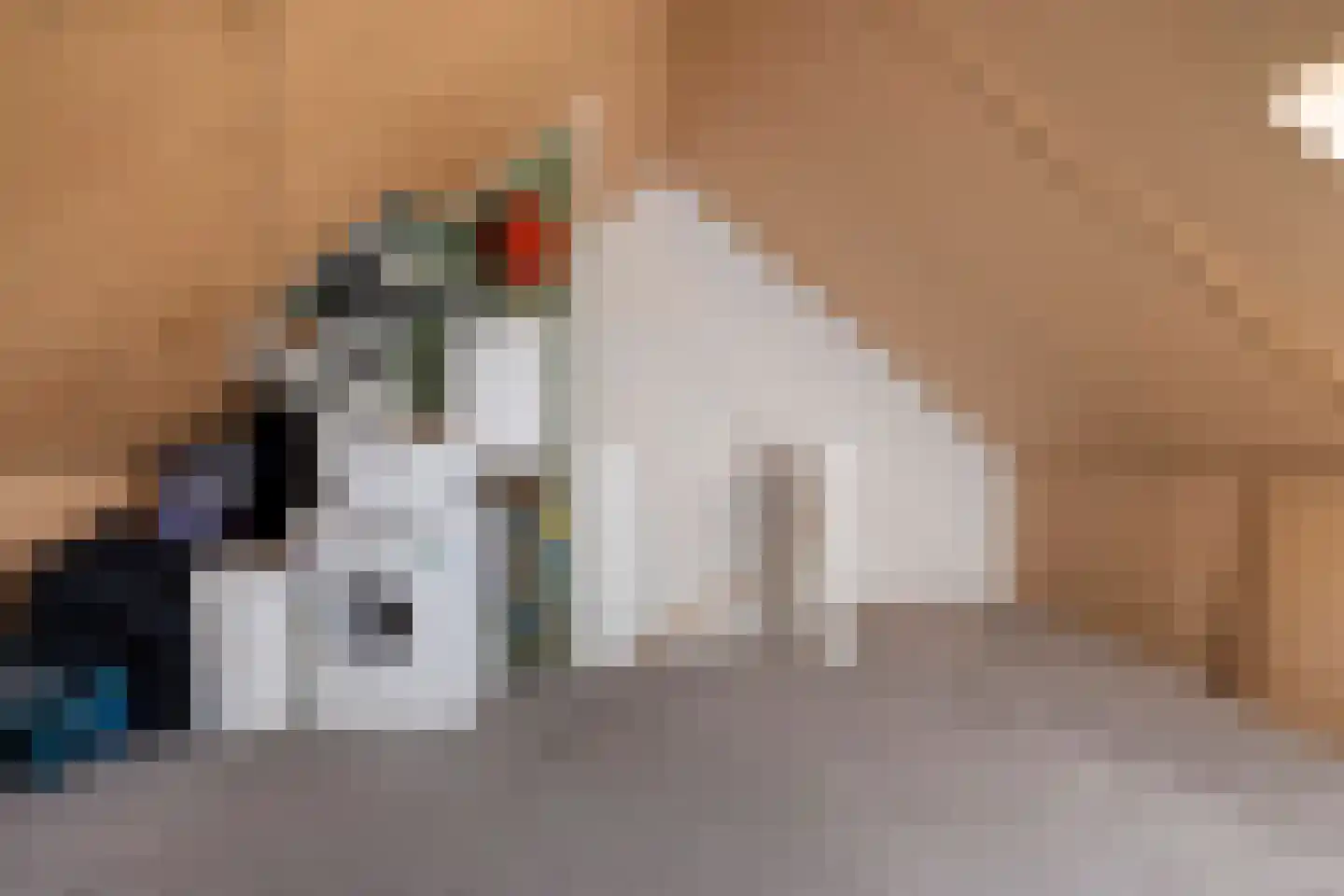 De Ryge 81 Nijeveen thumbnail 27
