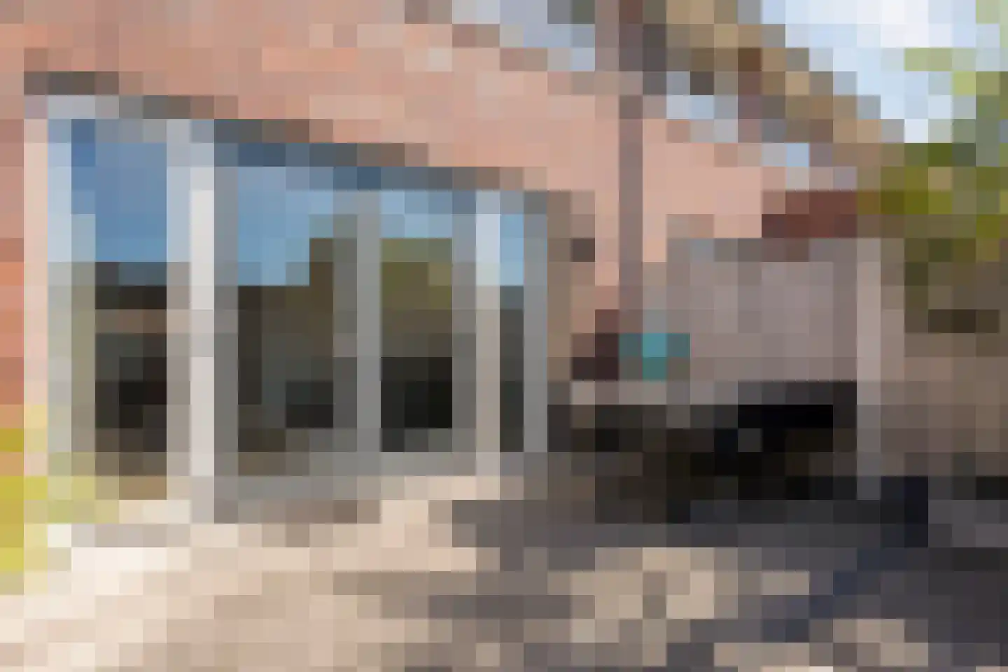 De Ryge 81 Nijeveen thumbnail 29