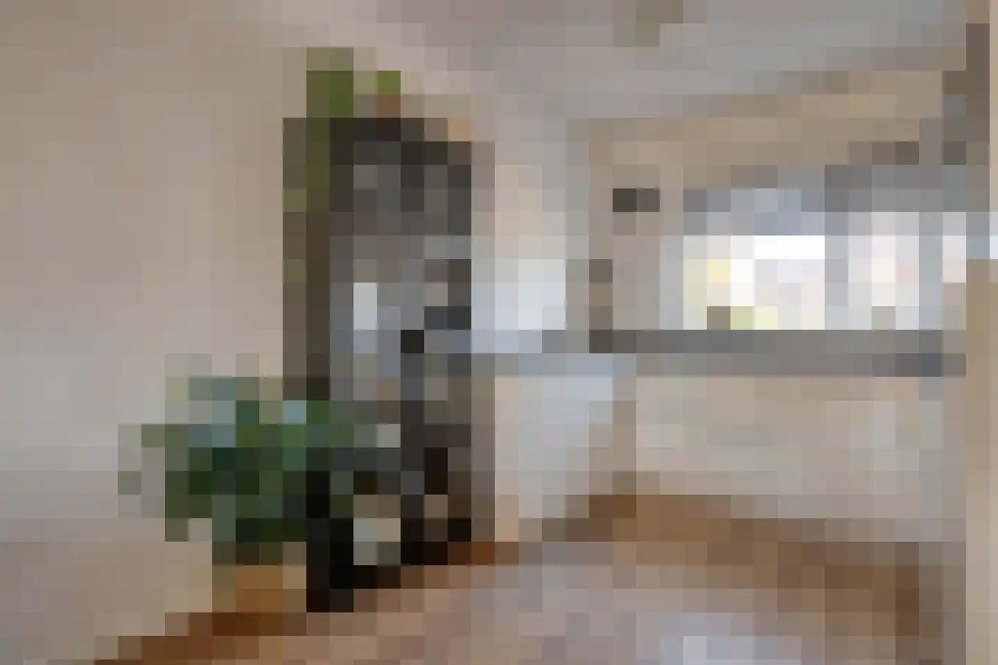 De Ryge 81 Nijeveen foto 3