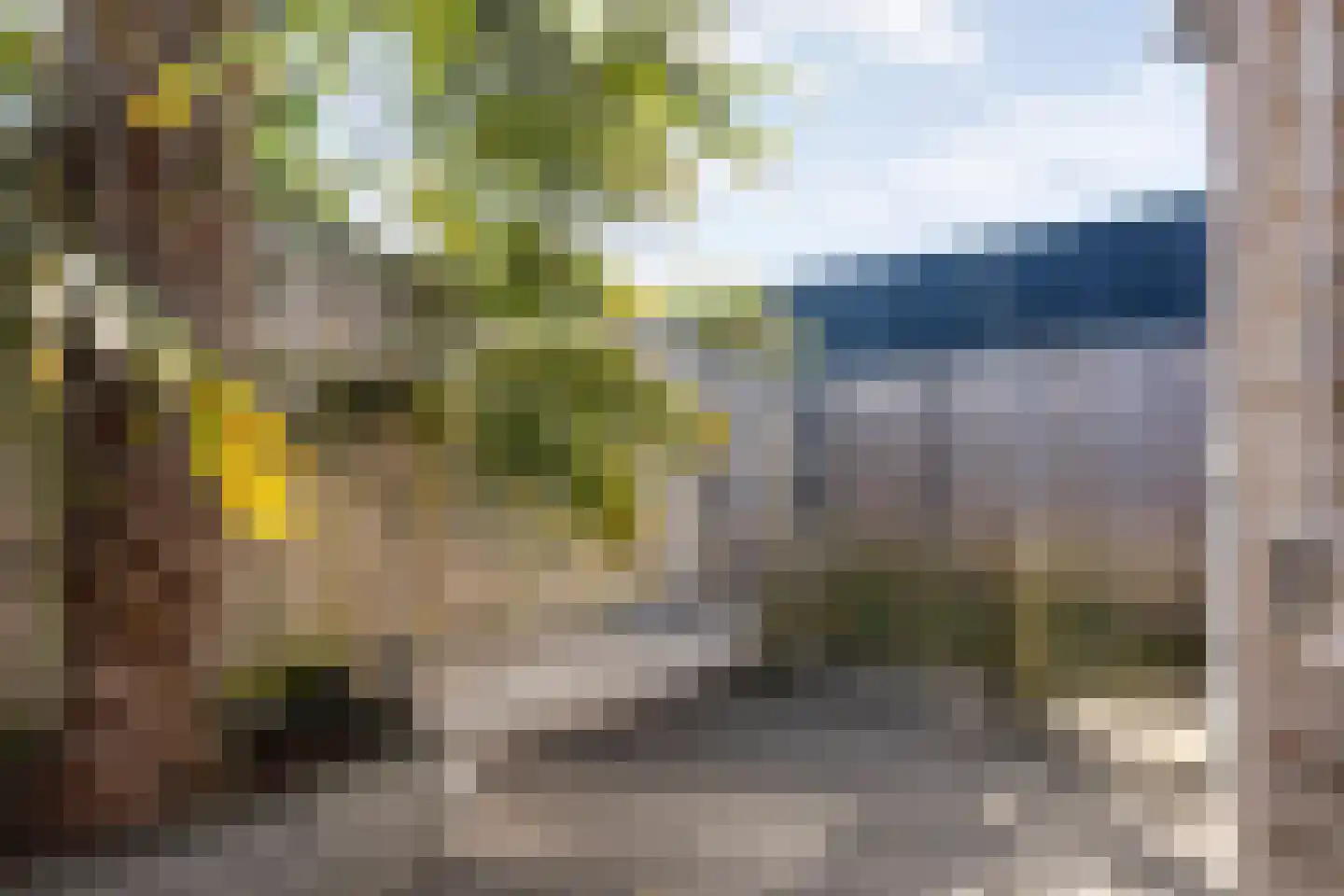 De Ryge 81 Nijeveen thumbnail 31