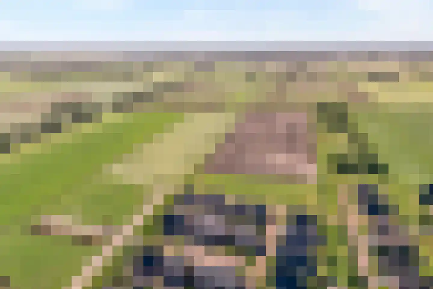 De Ryge 81 Nijeveen thumbnail 34