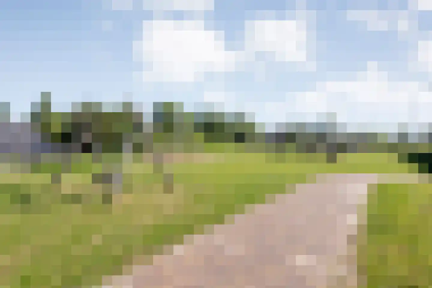 De Ryge 81 Nijeveen thumbnail 36