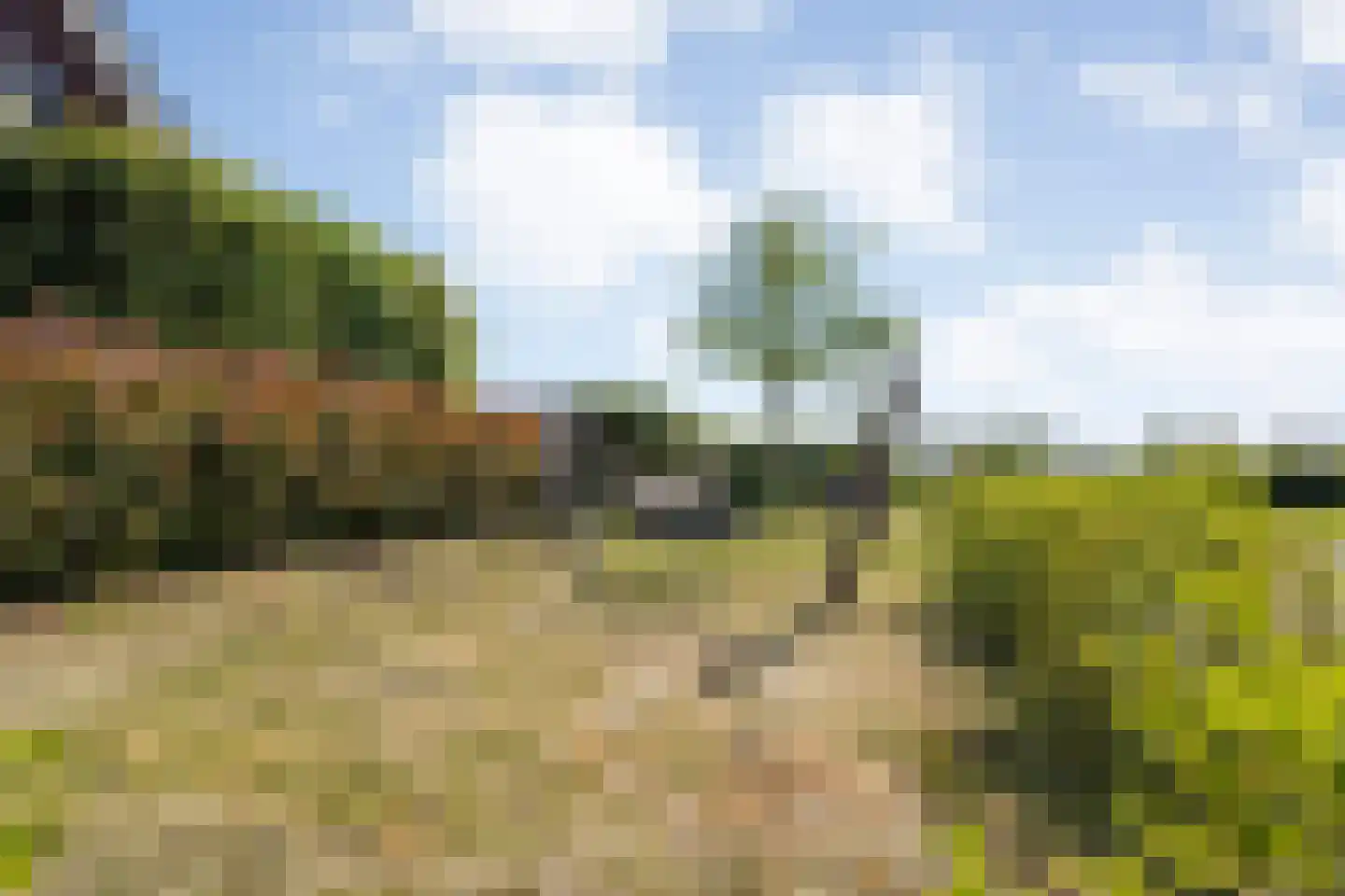 De Ryge 81 Nijeveen thumbnail 37