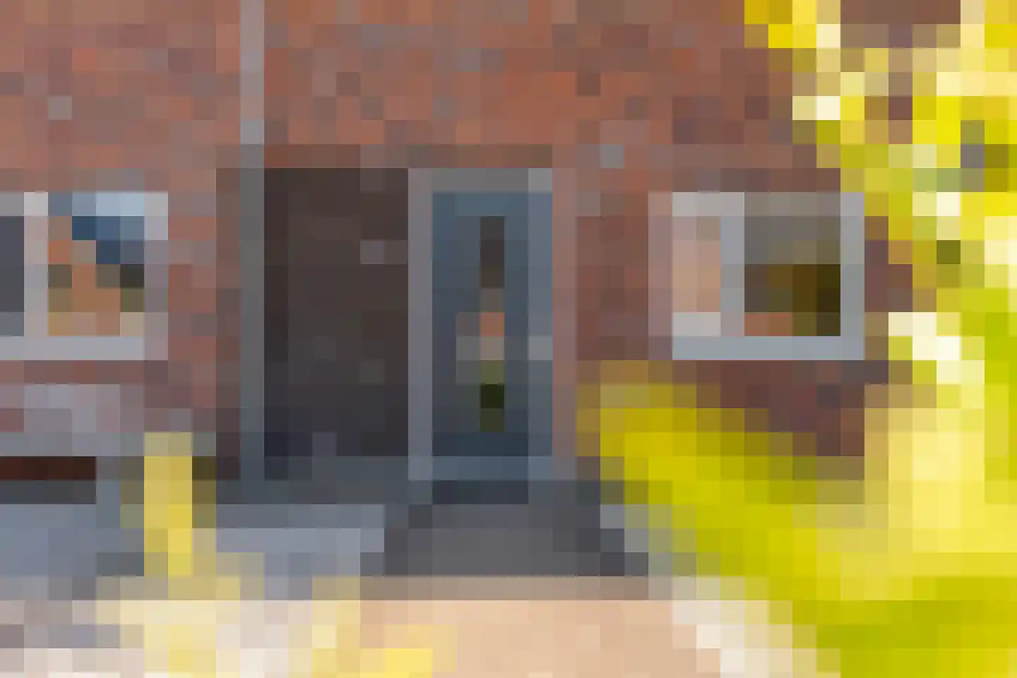 De Ryge 81 Nijeveen thumbnail 43