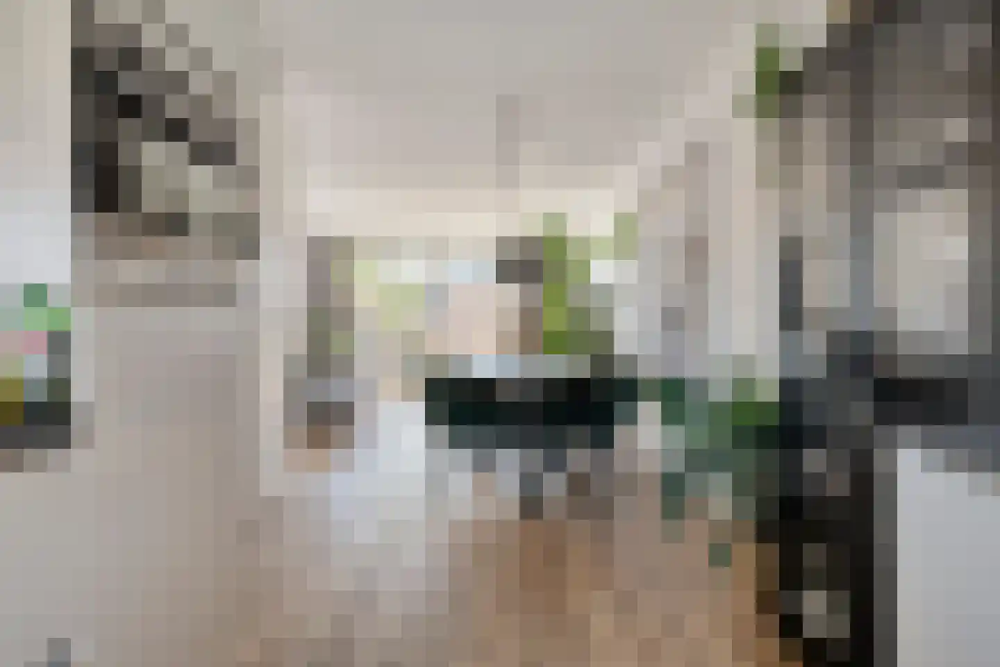De Ryge 81 Nijeveen thumbnail 6