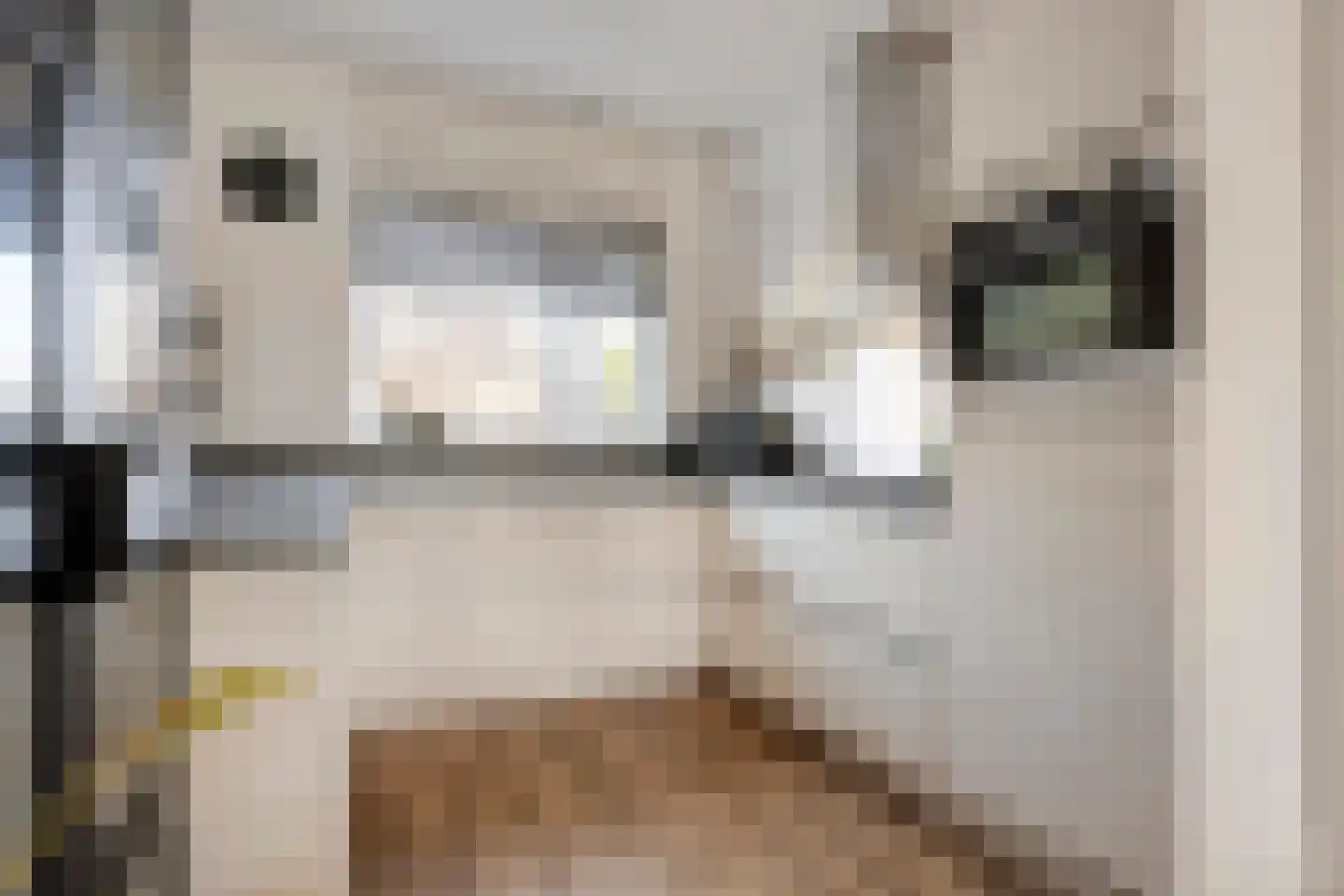 De Ryge 81 Nijeveen thumbnail 7