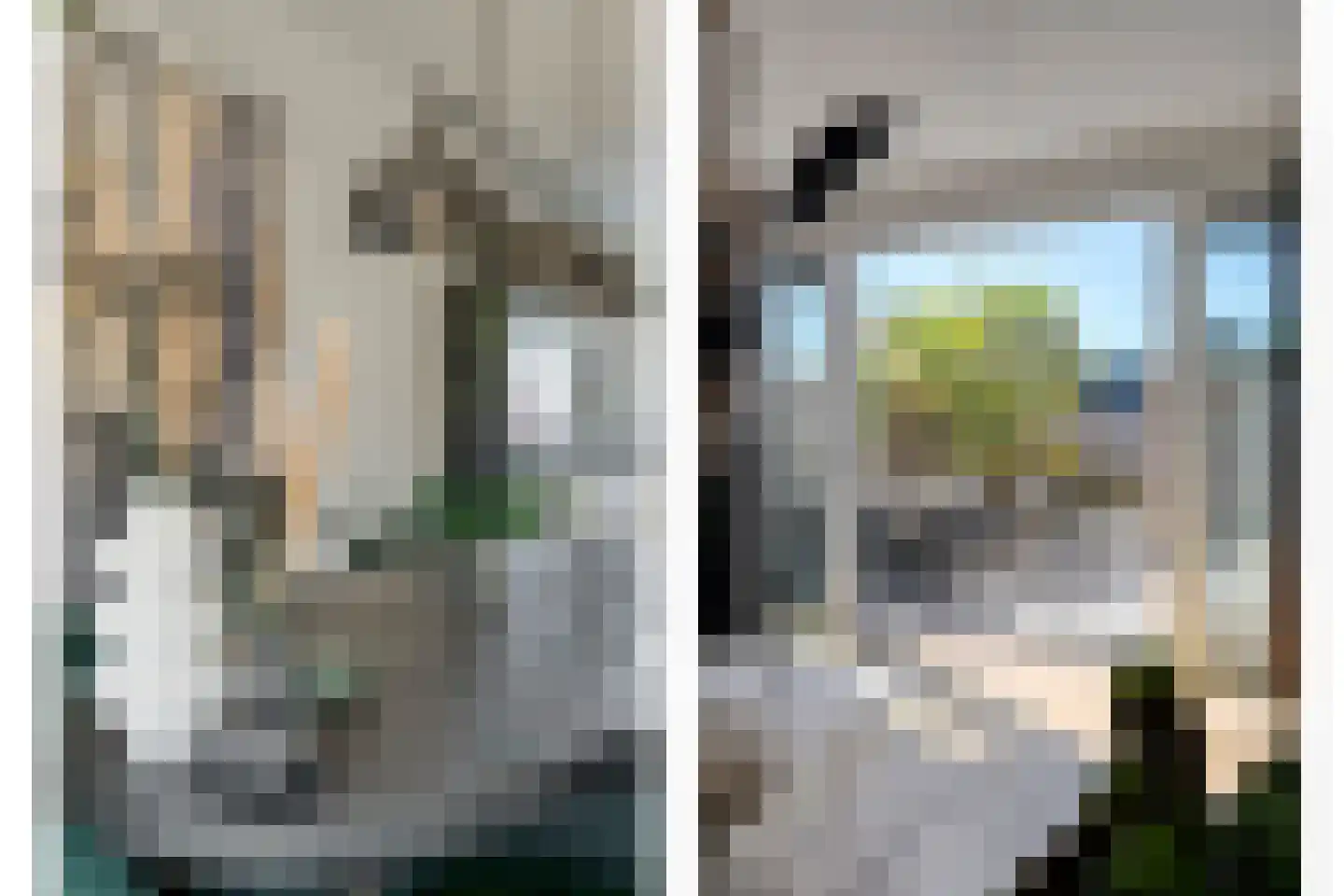 De Ryge 81 Nijeveen thumbnail 8