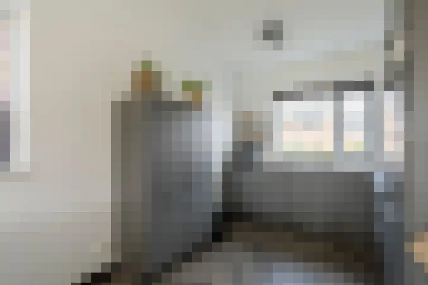 De Ryge 83 Nijeveen thumbnail 11