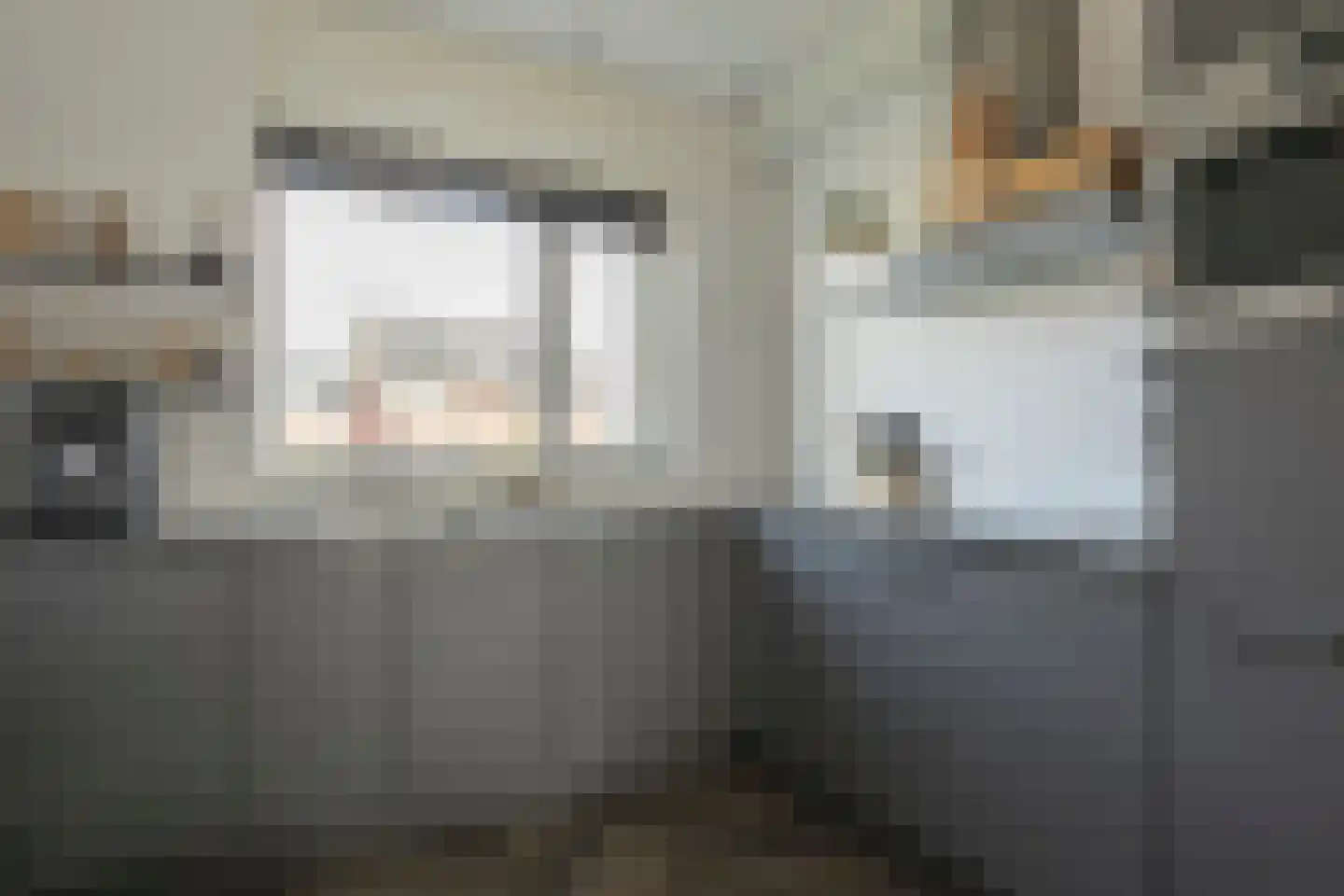 De Ryge 83 Nijeveen thumbnail 12