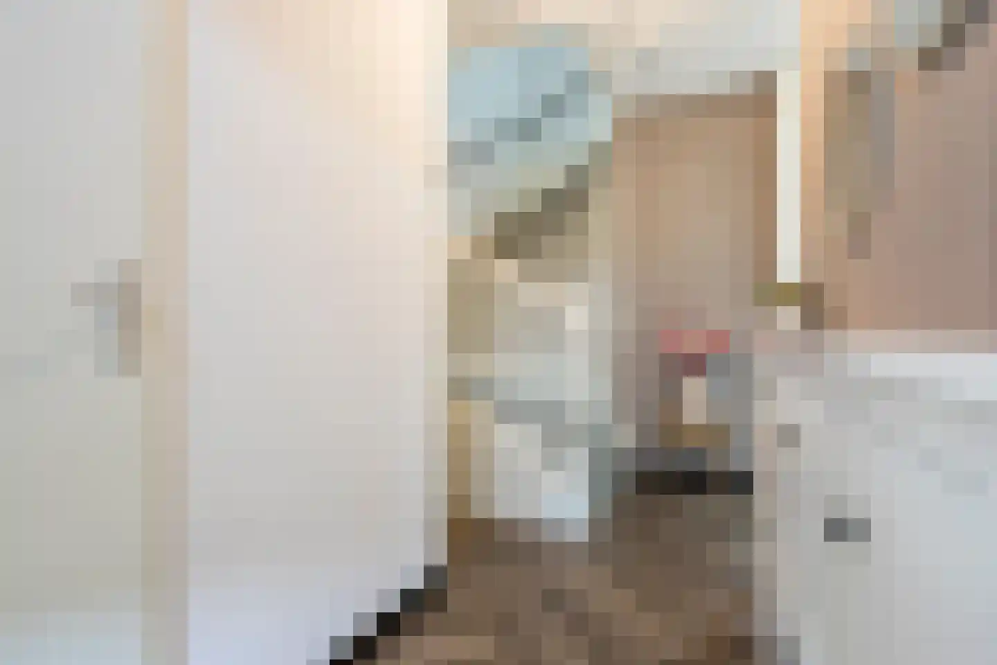 De Ryge 83 Nijeveen thumbnail 15