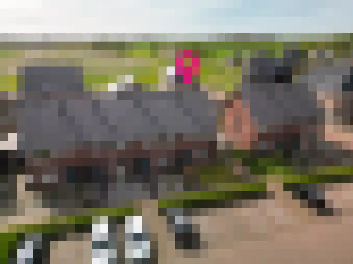 De Ryge 83 Nijeveen foto 2
