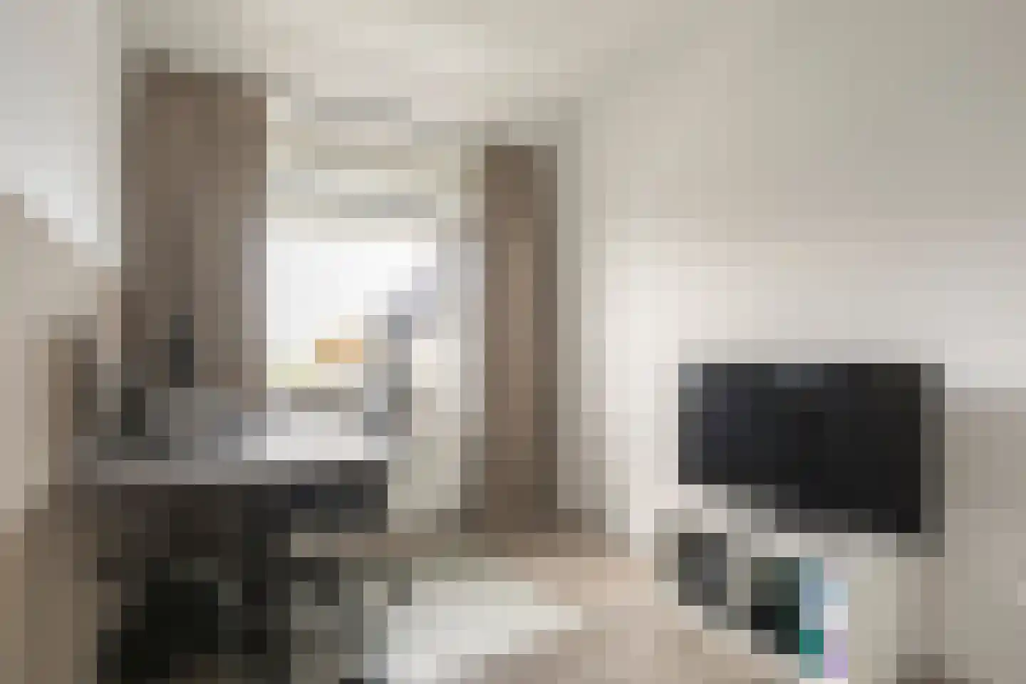 De Ryge 83 Nijeveen thumbnail 20