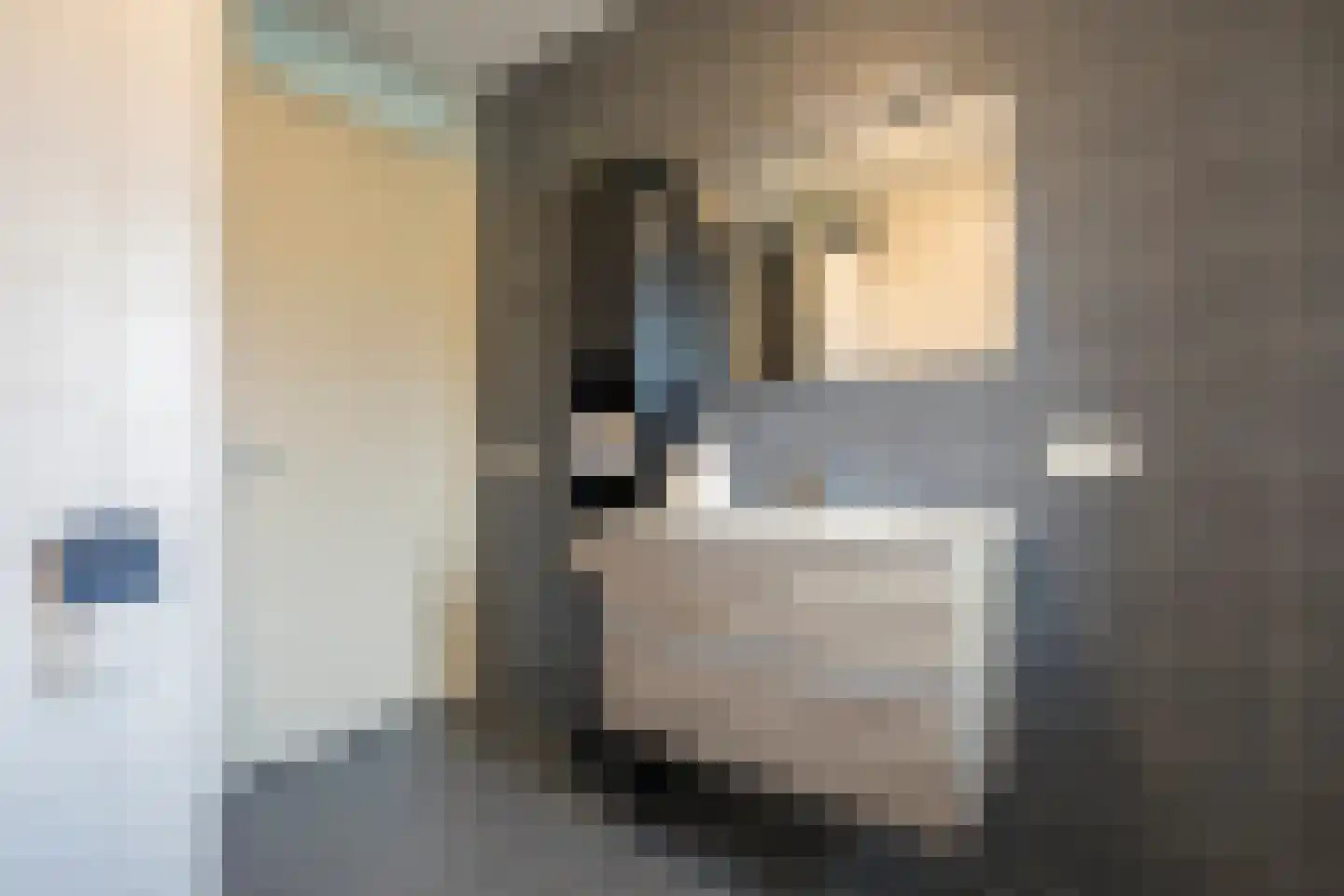 De Ryge 83 Nijeveen thumbnail 24