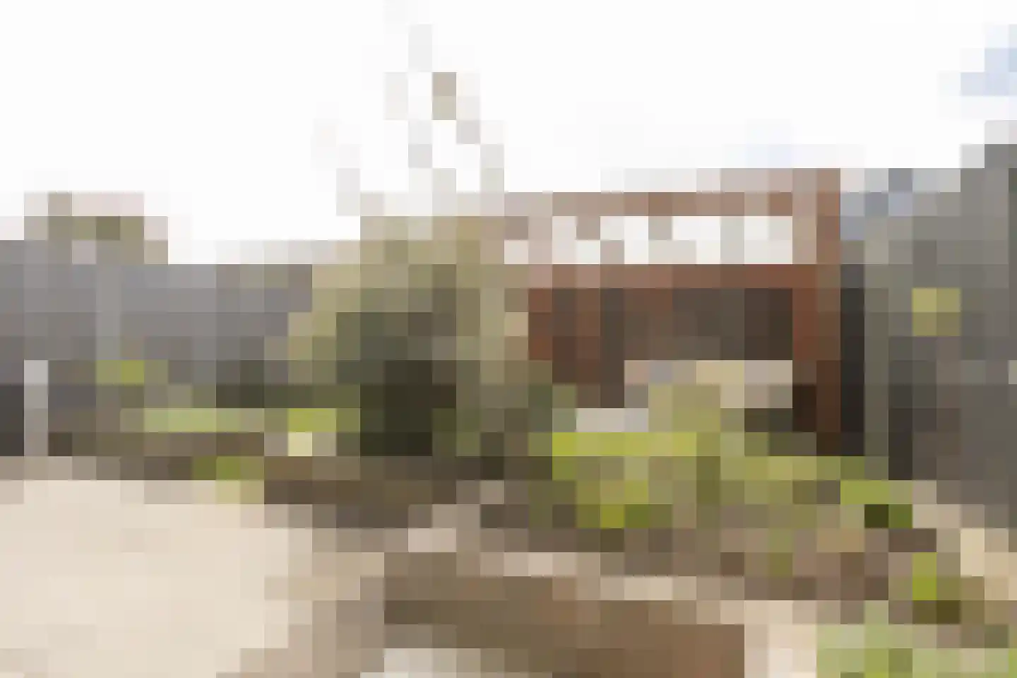 De Ryge 83 Nijeveen thumbnail 32