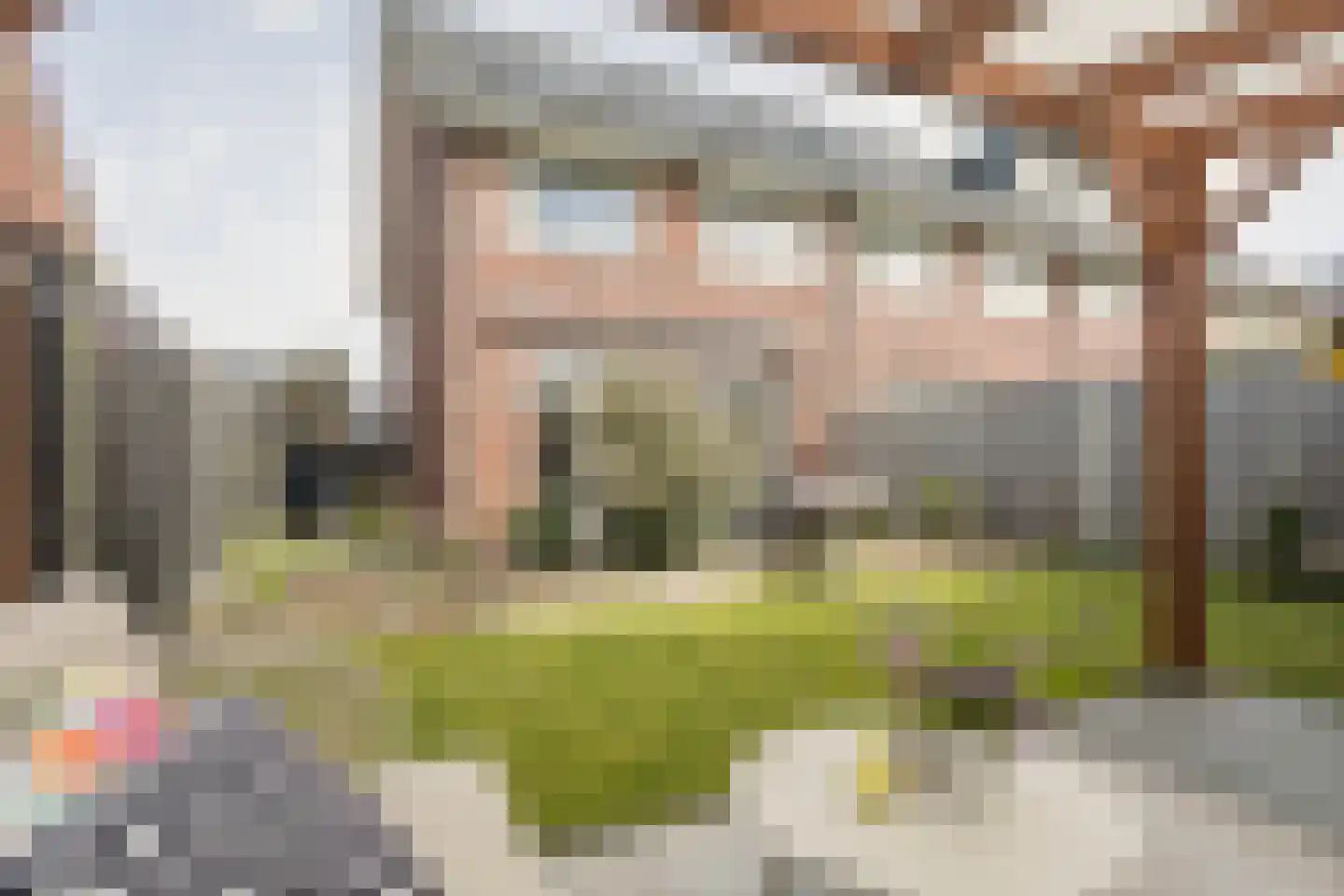 De Ryge 83 Nijeveen thumbnail 34