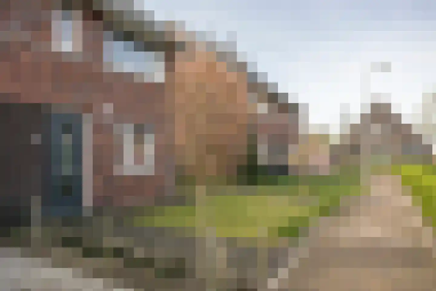 De Ryge 83 Nijeveen thumbnail 38