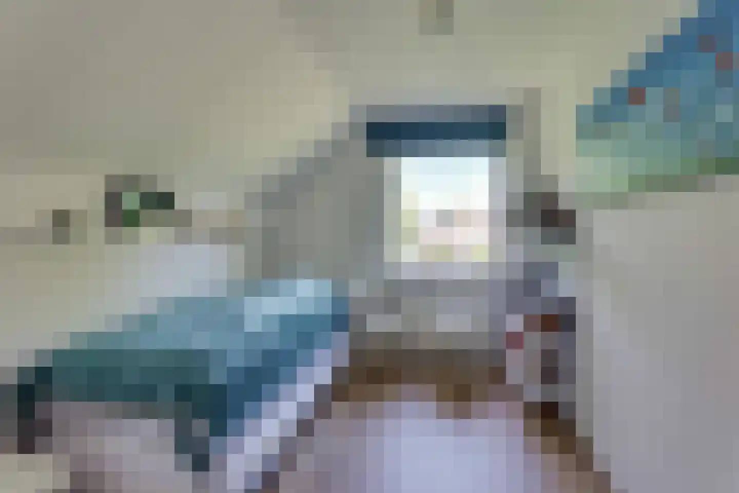 de Sa 21 Heerde thumbnail 27