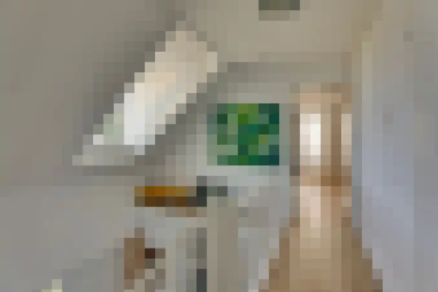 de Sa 21 Heerde thumbnail 34