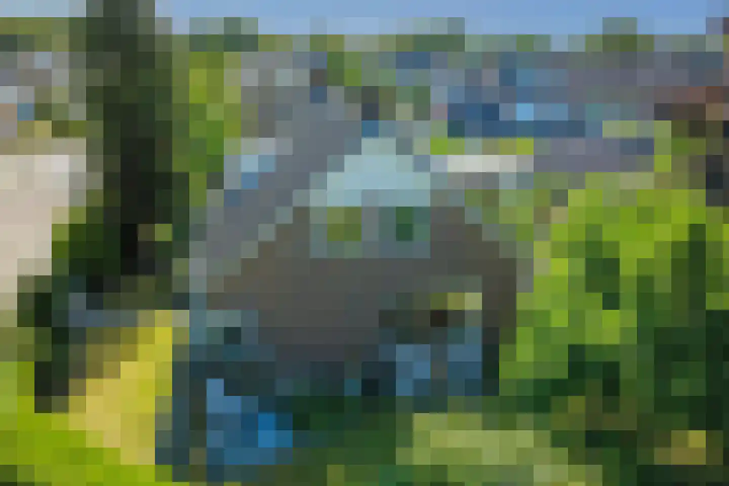 de Sa 21 Heerde thumbnail 4