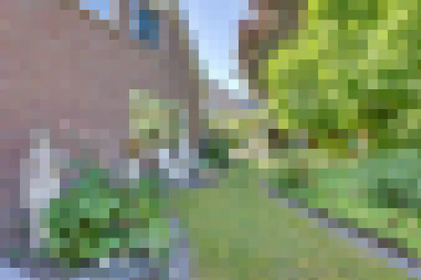 de Sa 21 Heerde thumbnail 40