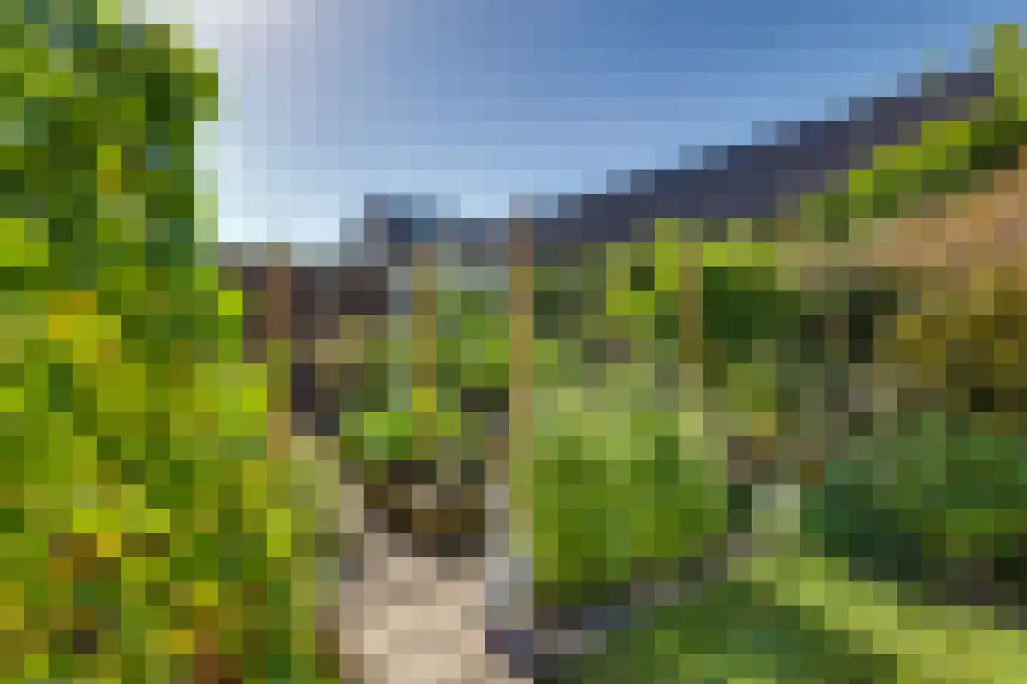 de Sa 21 Heerde thumbnail 48