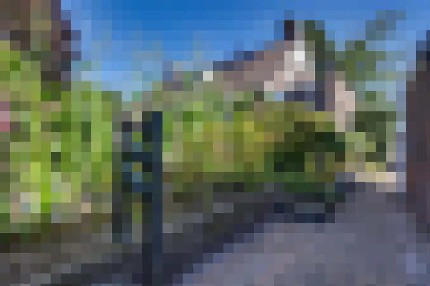 de Sa 21 Heerde thumbnail 50