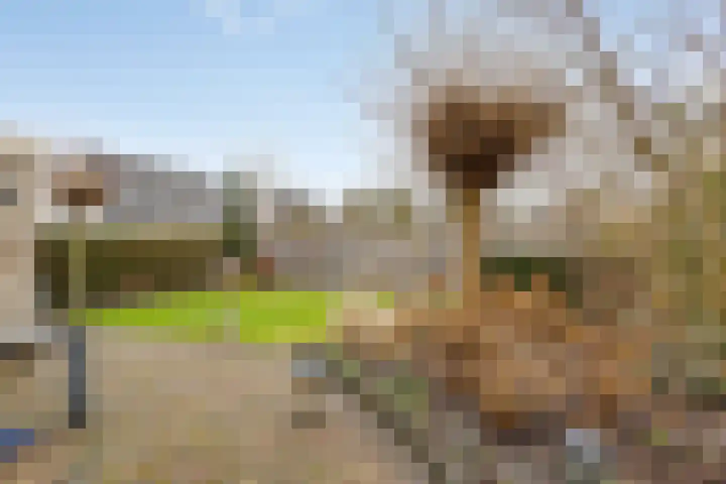 De Sallandse Roe 14 Dronten thumbnail 36