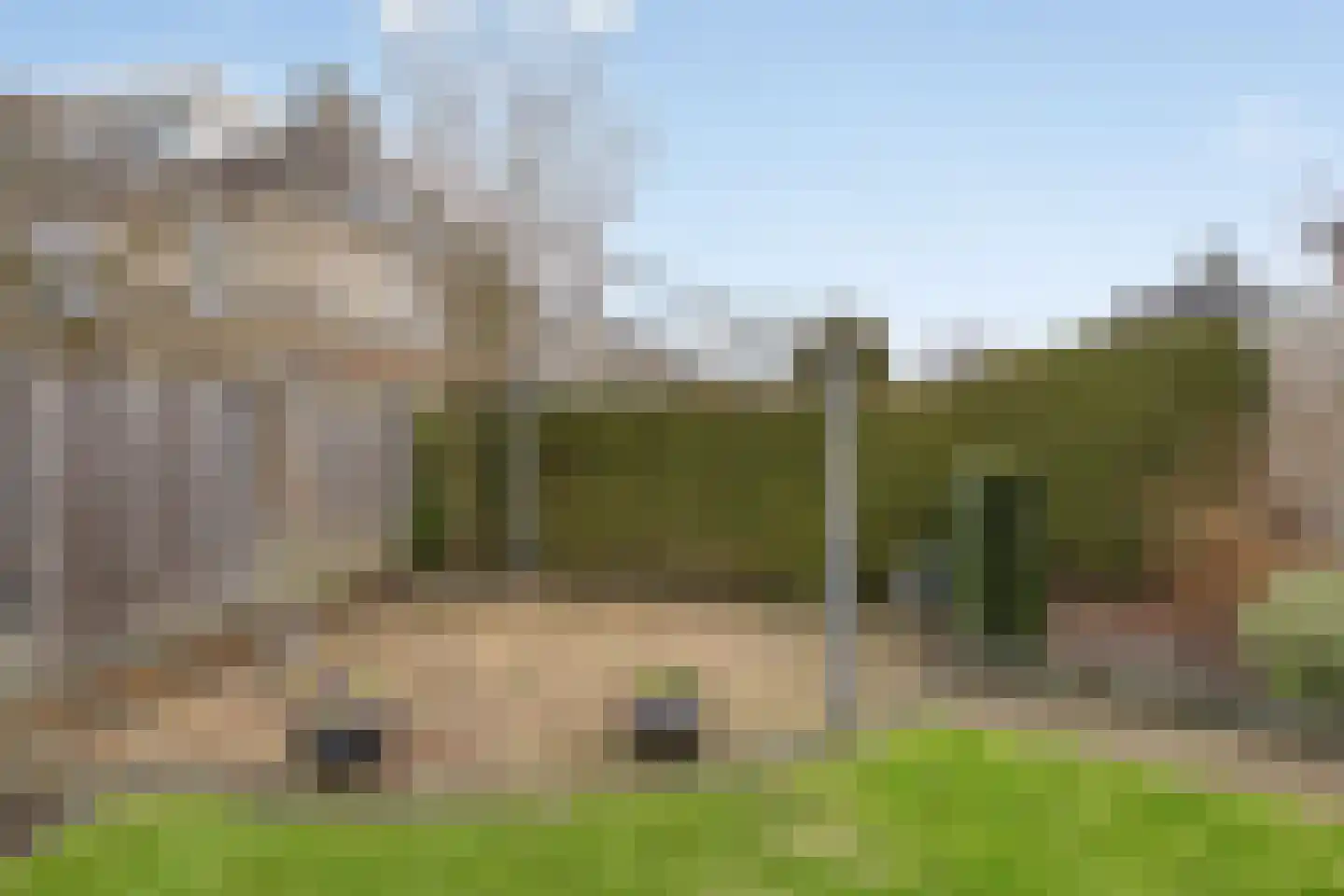 De Sallandse Roe 14 Dronten thumbnail 38