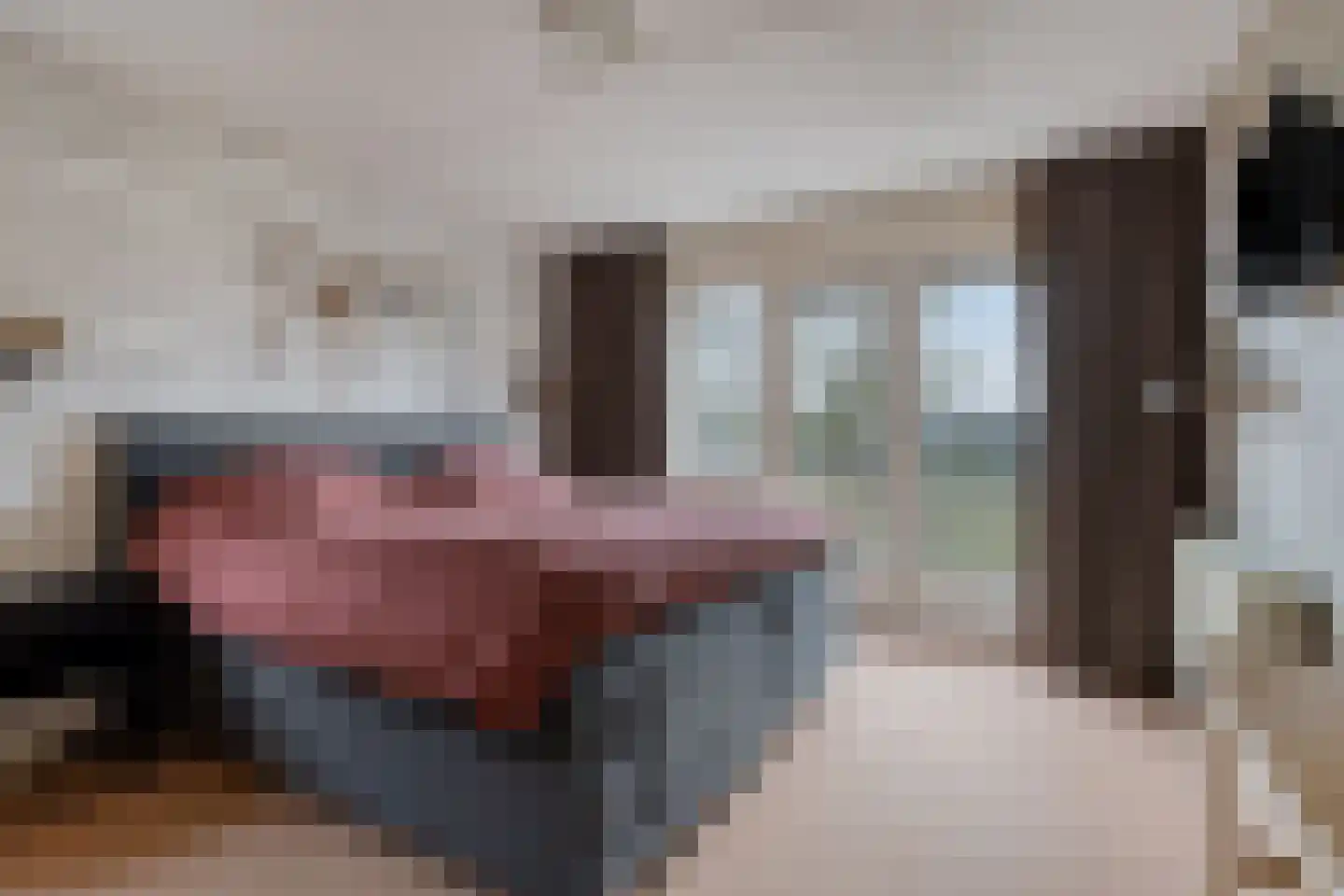 De Sallandse Roe 14 Dronten thumbnail 4