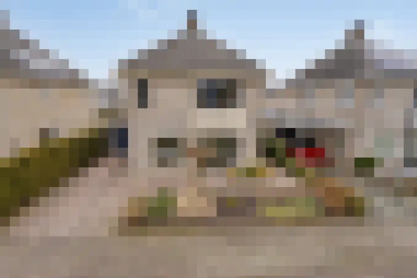 De Sallandse Roe 14 Dronten thumbnail 42