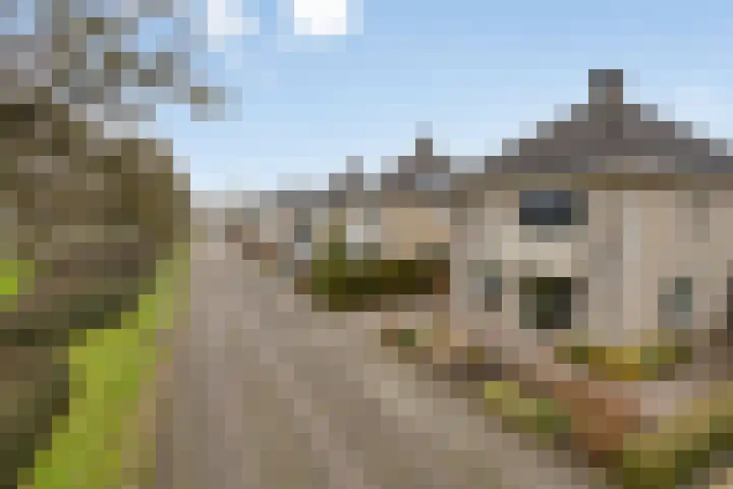 De Sallandse Roe 14 Dronten thumbnail 46