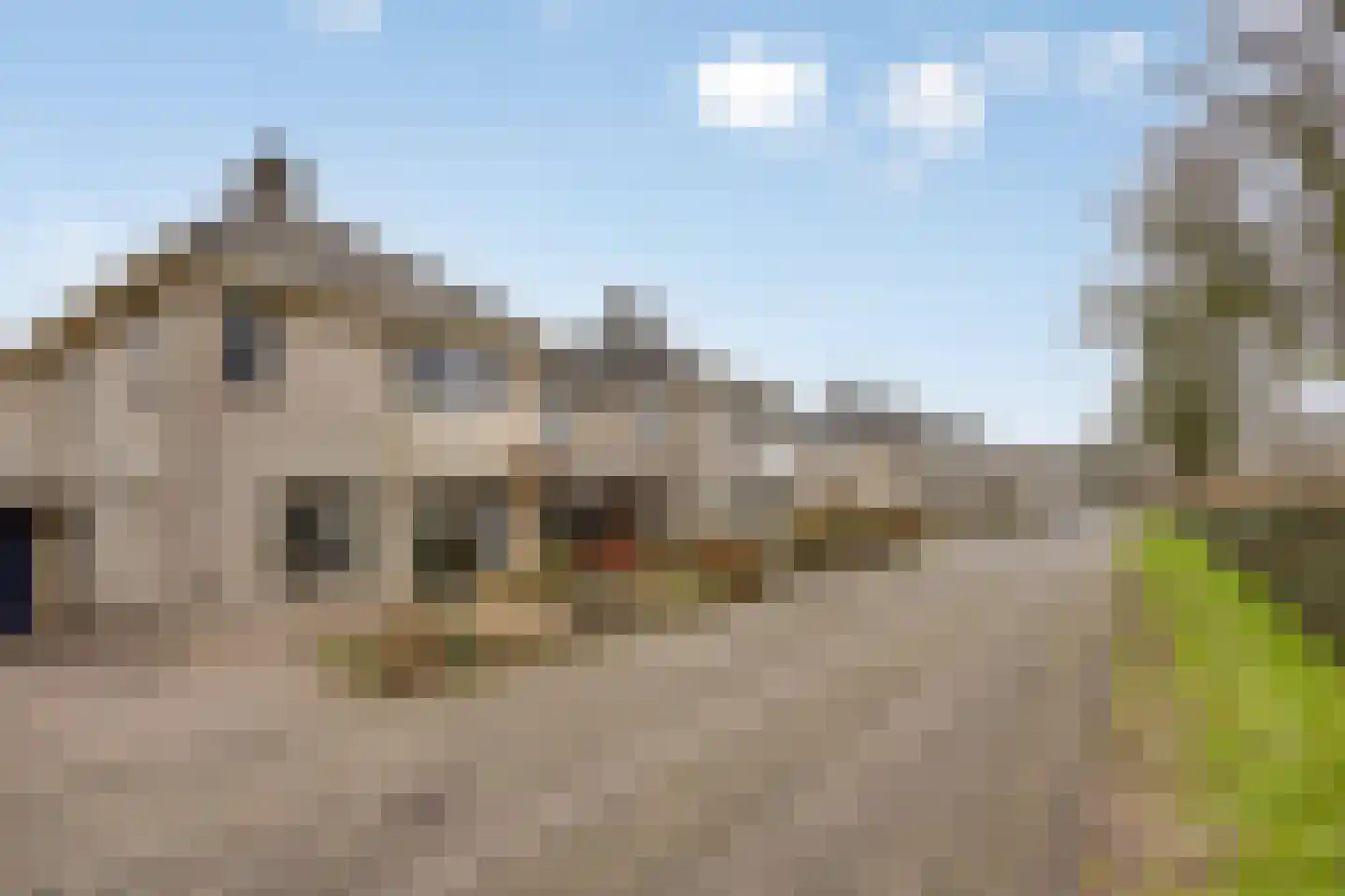 De Sallandse Roe 14 Dronten thumbnail 47