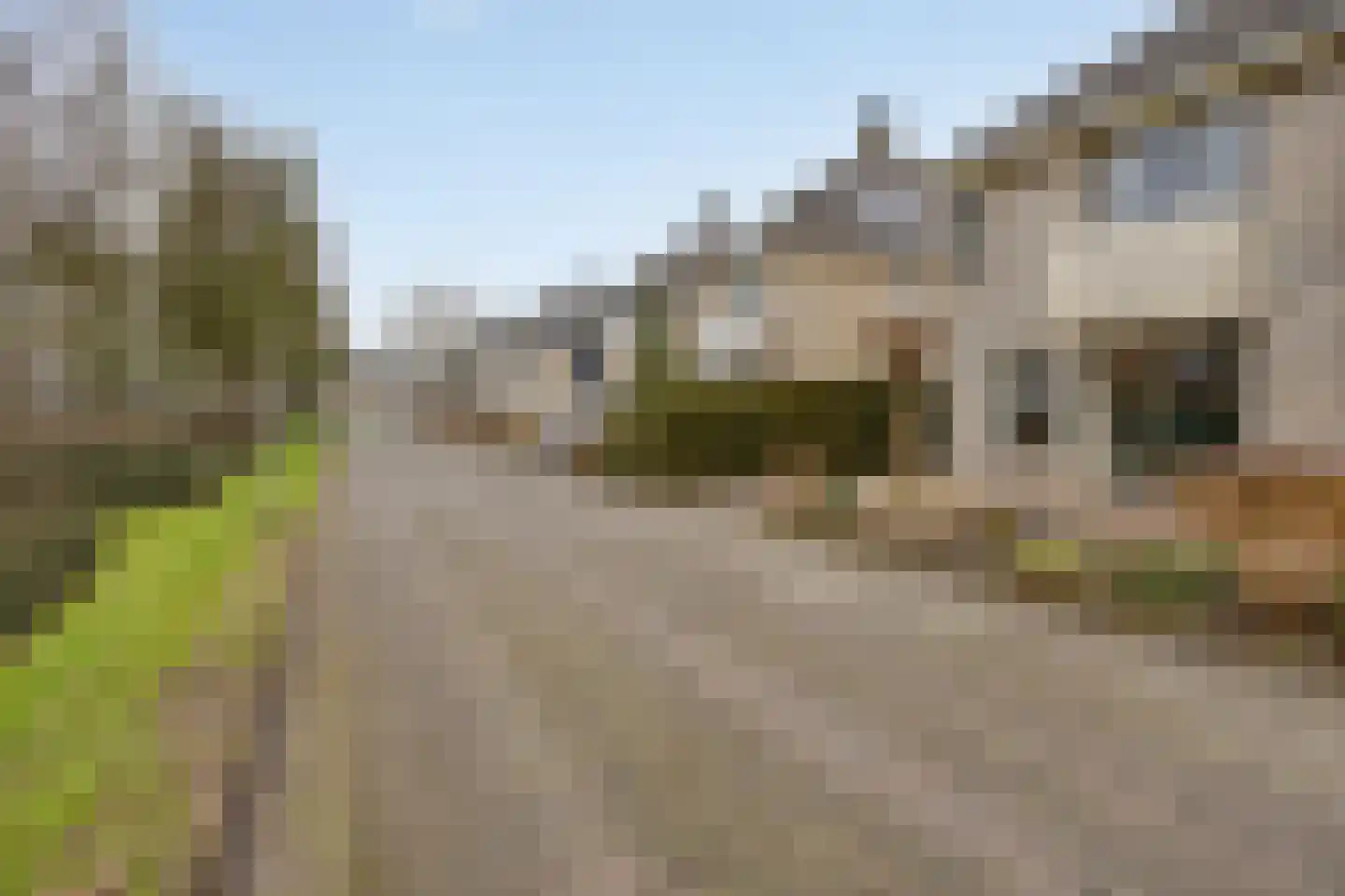 De Sallandse Roe 14 Dronten thumbnail 48