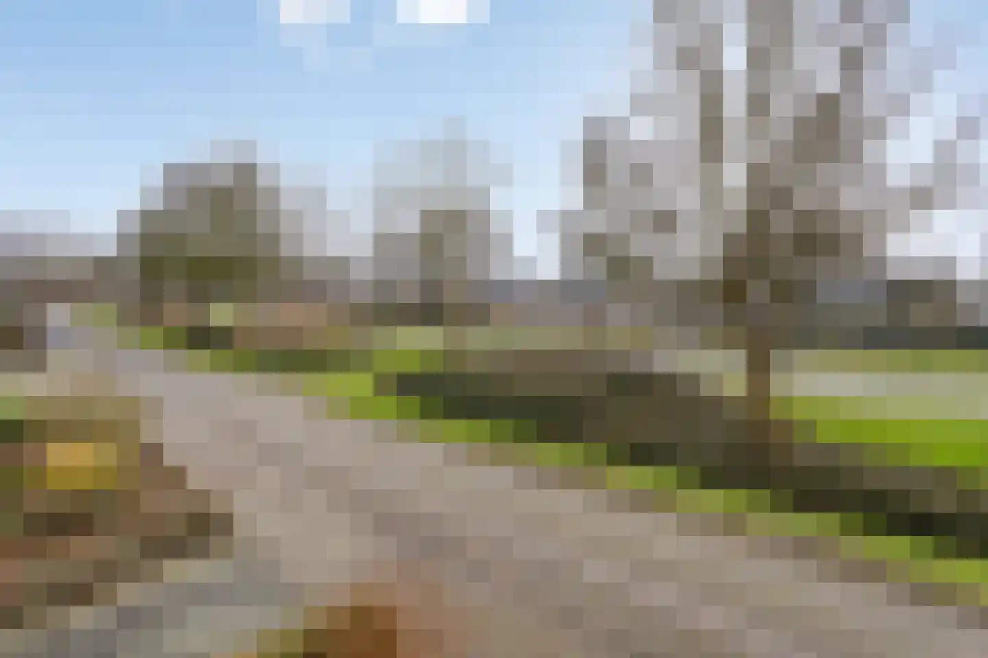 De Sallandse Roe 14 Dronten thumbnail 49