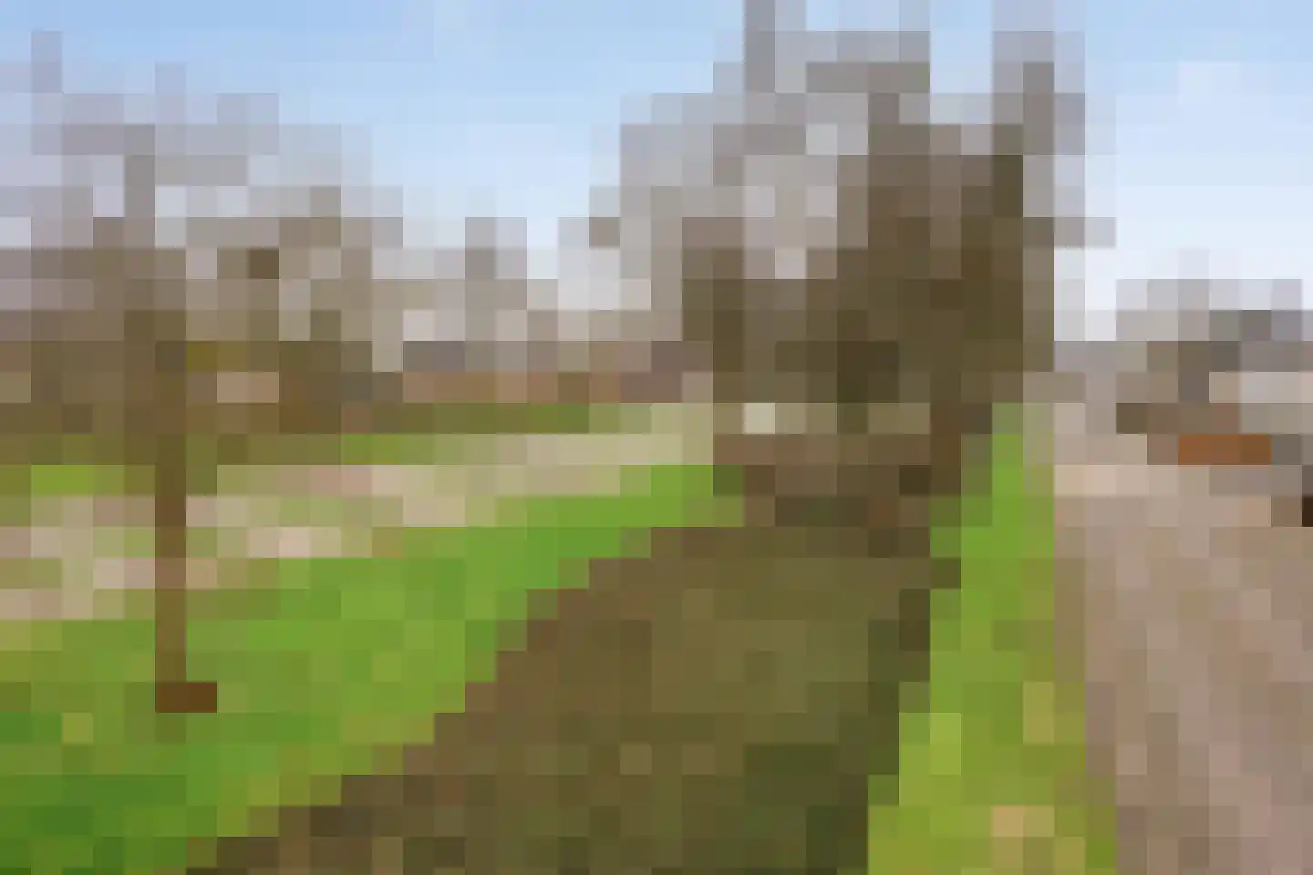 De Sallandse Roe 14 Dronten thumbnail 50