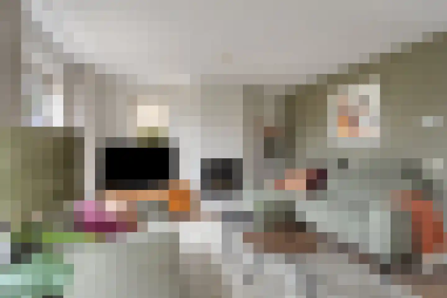 De Sallandse Roe 14 Dronten thumbnail 8